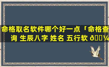 命格取名软件哪个好一点「命格查询 生辰八字 姓名 五行软 🐼 件」